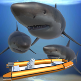 com.kgtasarim.SharkAttack3D