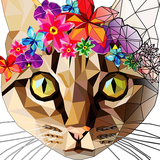 com.drawcolorgames.poly.draw