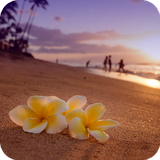 chilloutmusic.musicarelajante.relaxingmusic