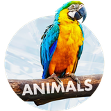 com.david_wallpapers.animals