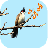 com.aseantech.animalsounds