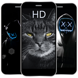 com.aziz9910.black_photo