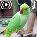 com.appsocean.parrotsounds