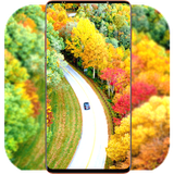 com.AutumnWallpaper.naturewallpaper.autumnroadwallpaper.autumn