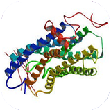 folad.benzodayaksolha