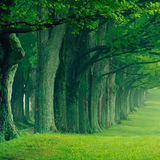 com.yodesoft.android.game.yopuzzleForest