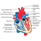 mehza2000.mehza200043