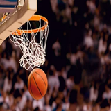 com.htmlApi24novinsoft99.basketbal