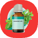 com.mnz_ht.toledeesansehaegeyahe