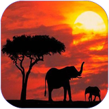 folad.bakhshhaytaanzaania