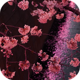 com.ihs.japansakuragarden