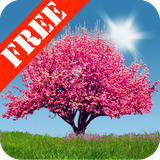 com.adermark.springtreesfree