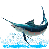 com.wai.meer.kingsfish