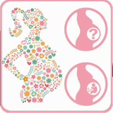 com.notarin.nutritionpregnancy