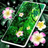 jungle.tropical.leaves.flowers.nature.free.hd