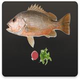 com.pishtaznovin_ht.parvareshmahevamego