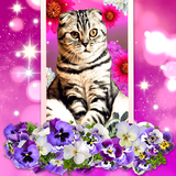 cat.kitty.kitten.cute.fluffy.flower.free.lwphd