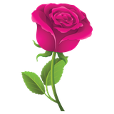 com.mirages.roses.stickers