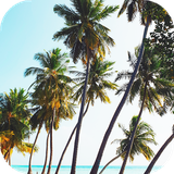 com.cool.wallpapers.and.phones.backgrounds.summer