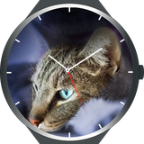 com.kjsk.watchface.cats
