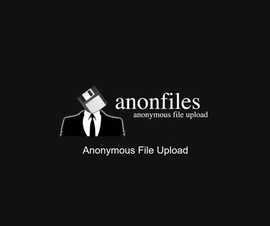 تعطیلی سرویس Anonfiles