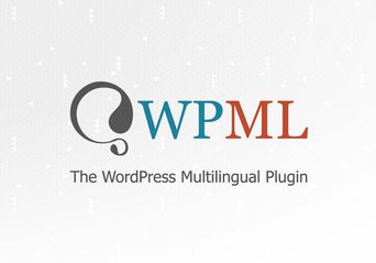 هک افزونه WPML
